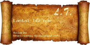 Lantai Tünde névjegykártya